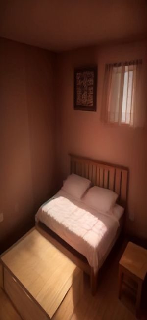 个人追番日历,以周视图展示周一到周日的更新安排,右上角有签到按钮